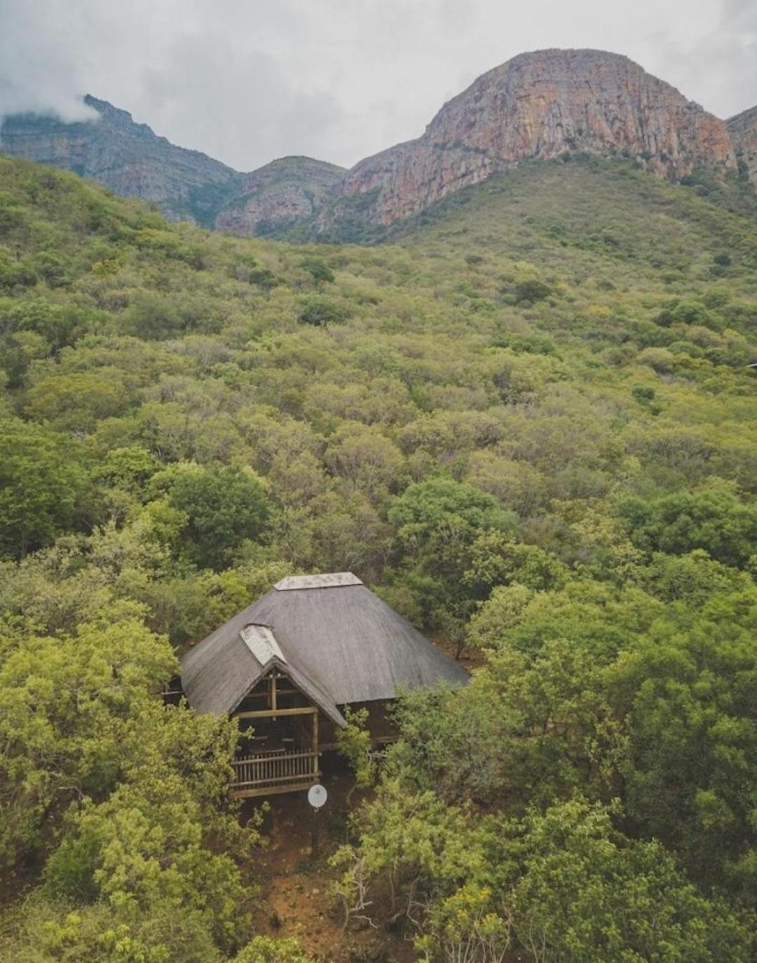 Lodge Amafu Forest *