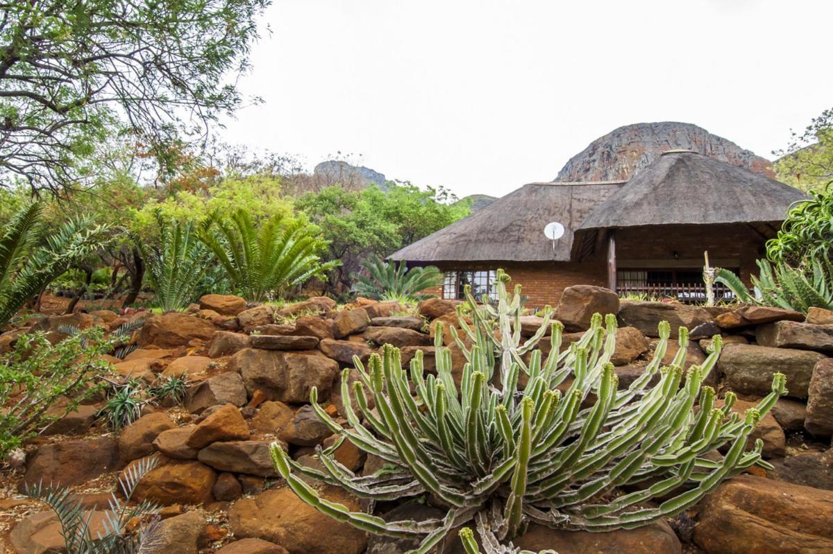Lodge Amafu Forest Hoedspruit