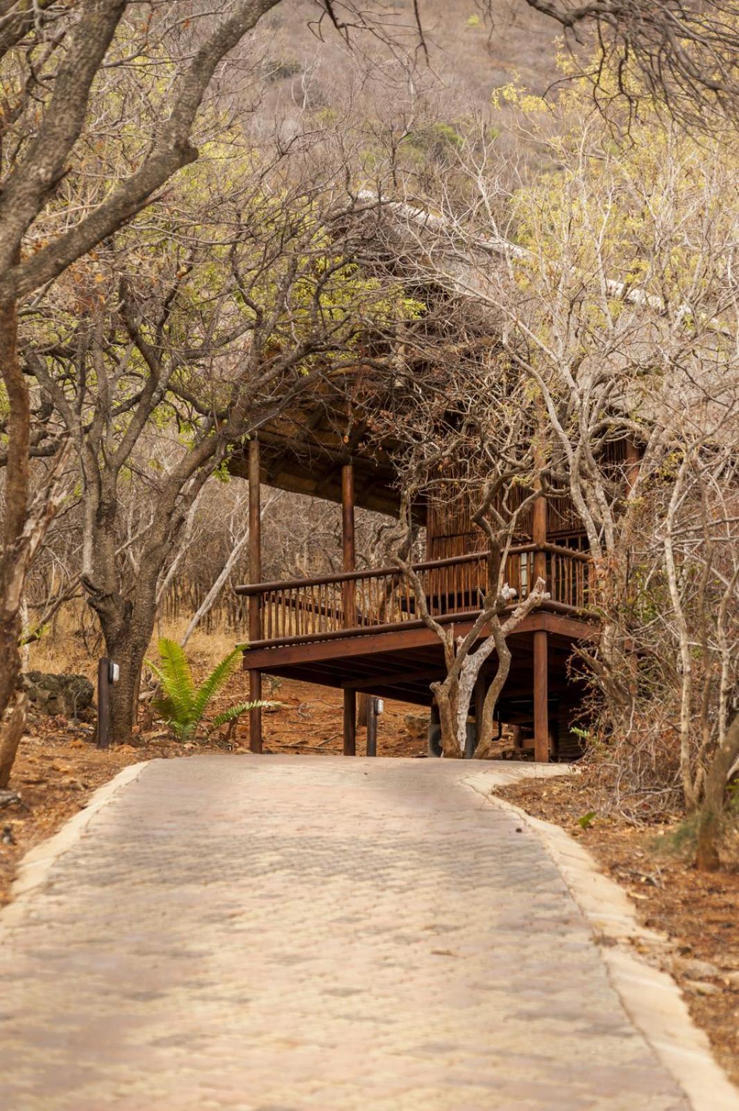 Amafu Forest Lodge *